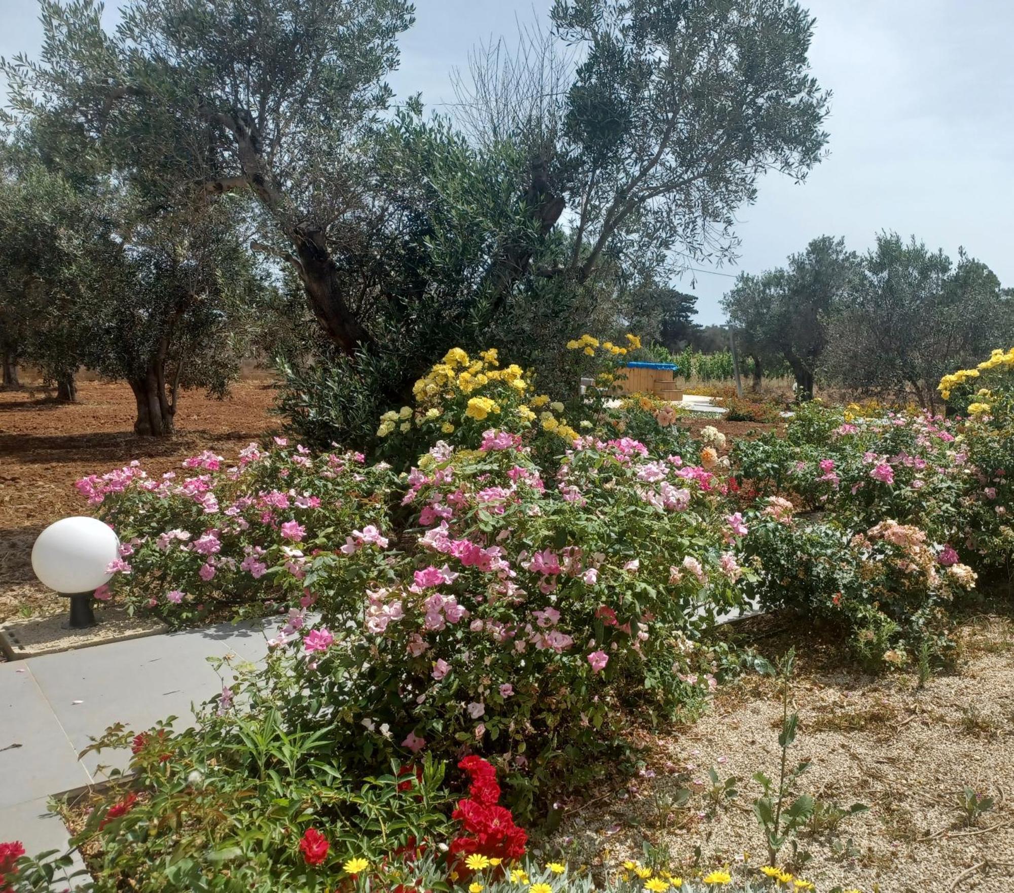 Zeituna Lodge A Porto Cesareo Torre Lapillo Eksteriør bilde
