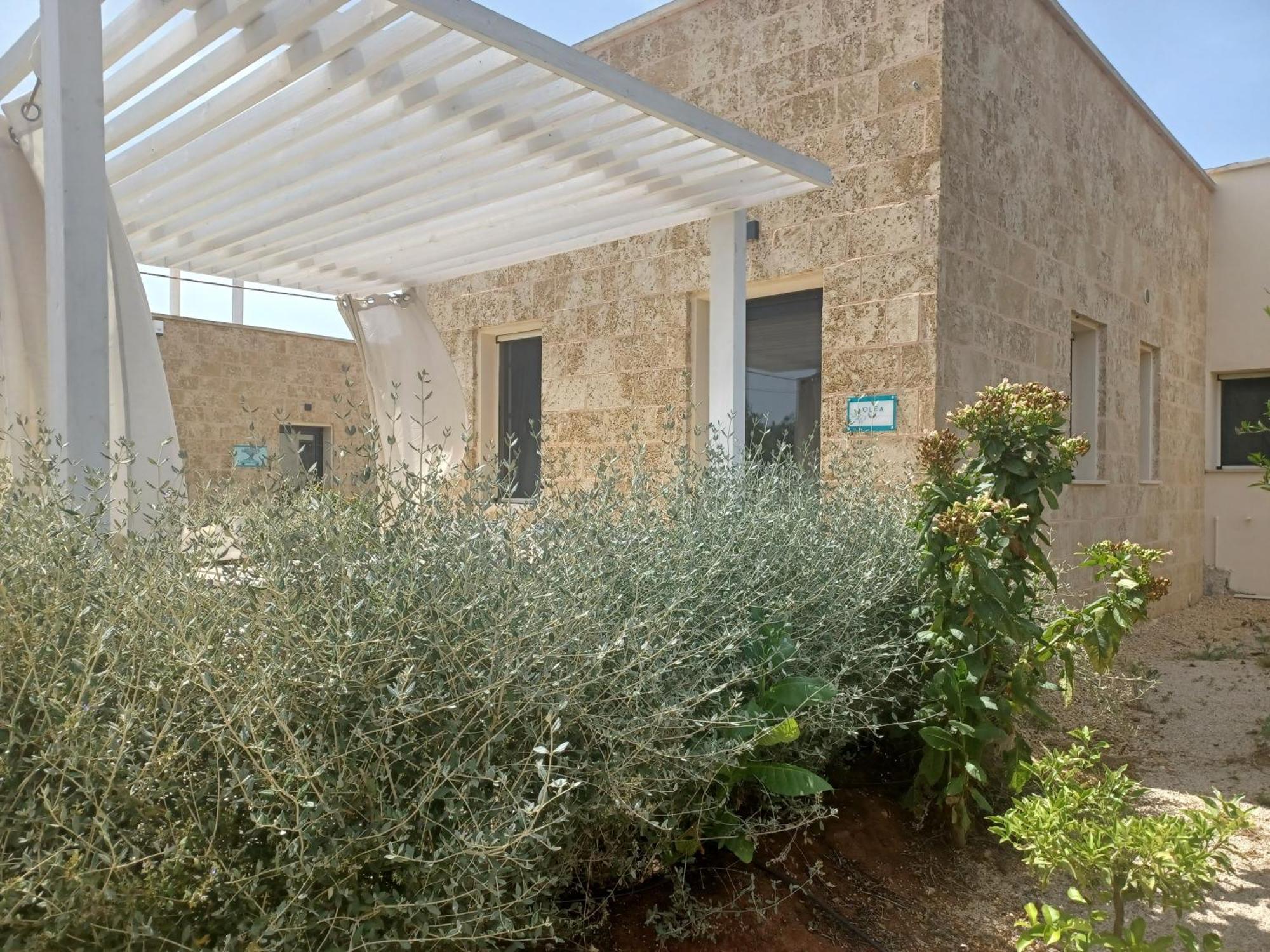Zeituna Lodge A Porto Cesareo Torre Lapillo Eksteriør bilde