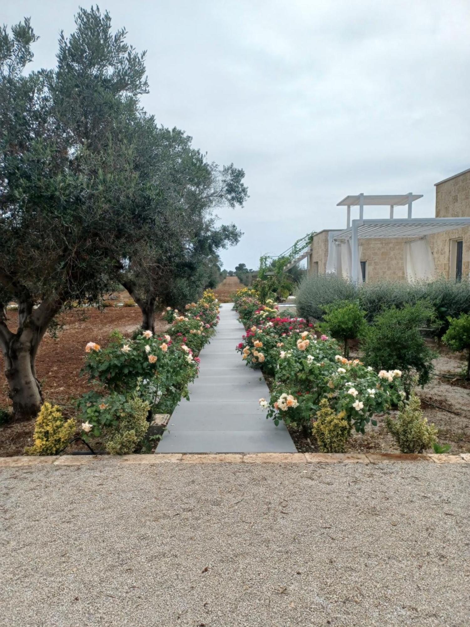 Zeituna Lodge A Porto Cesareo Torre Lapillo Eksteriør bilde